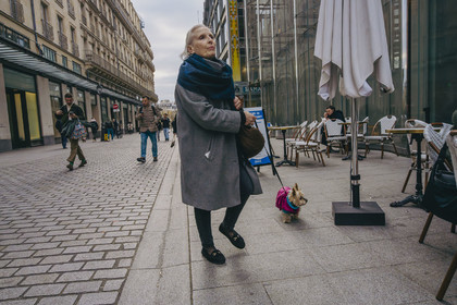 Des photographies en couleur,