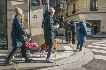 Des photographies en couleur,